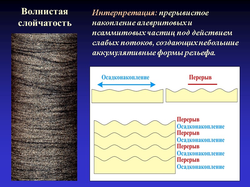 Волнистая слойчатость Интерпретация: прерывистое накопление алевритовых и псаммитовых частиц под действием слабых потоков, создающих
